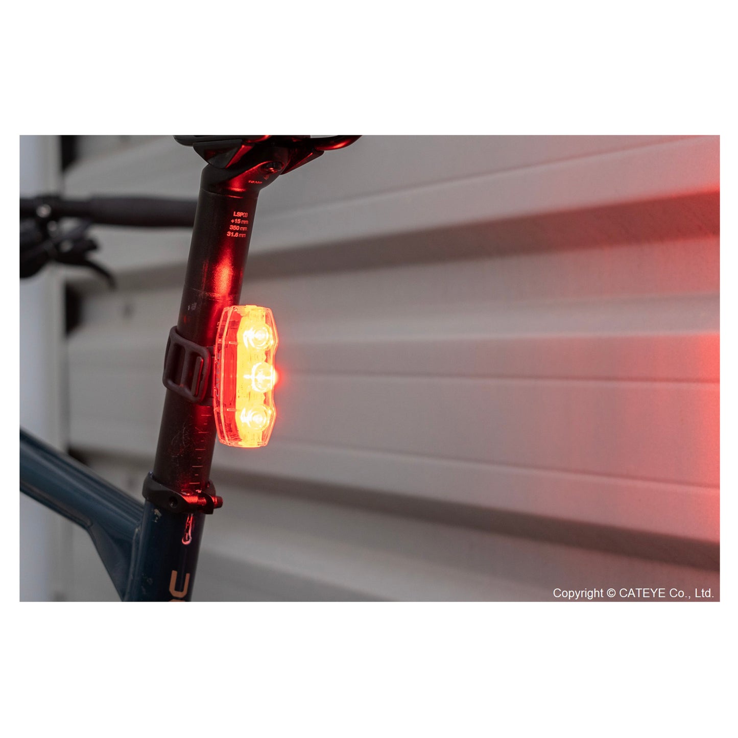 Viz 300 Rear Light