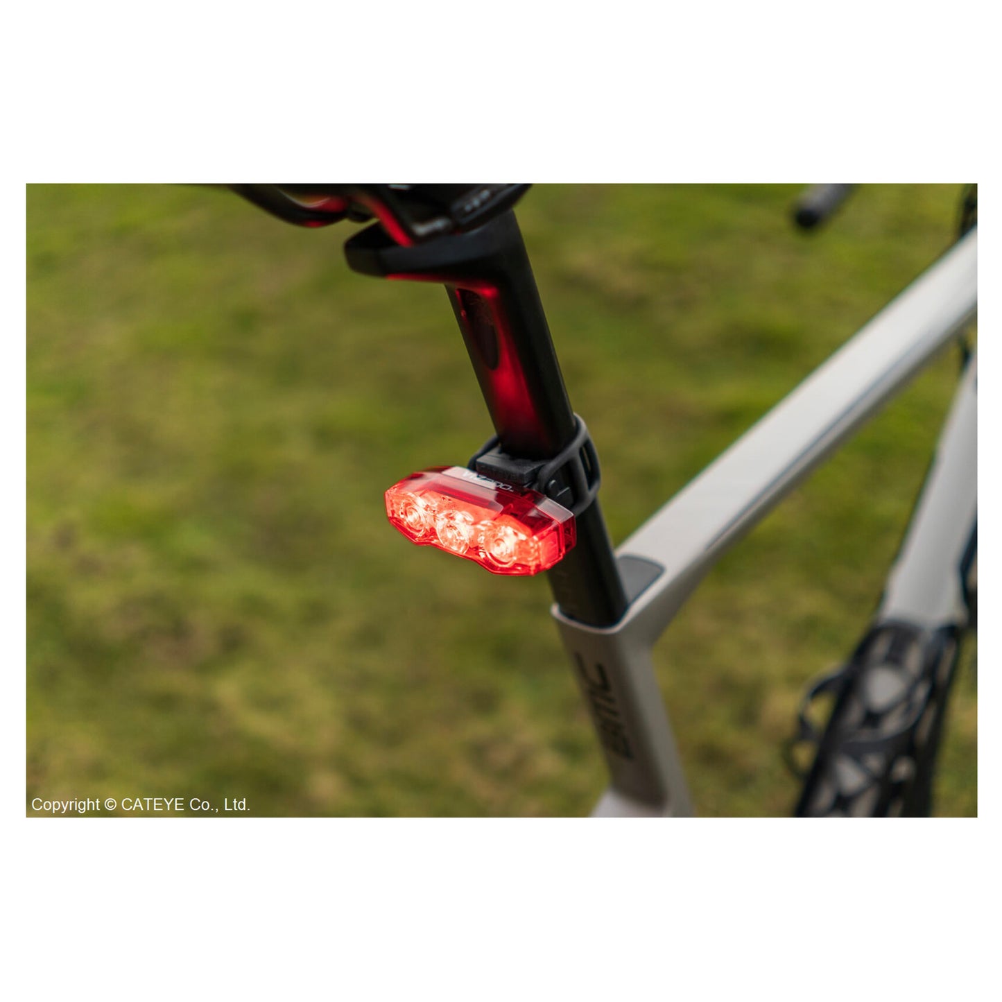 Viz 300 Rear Light