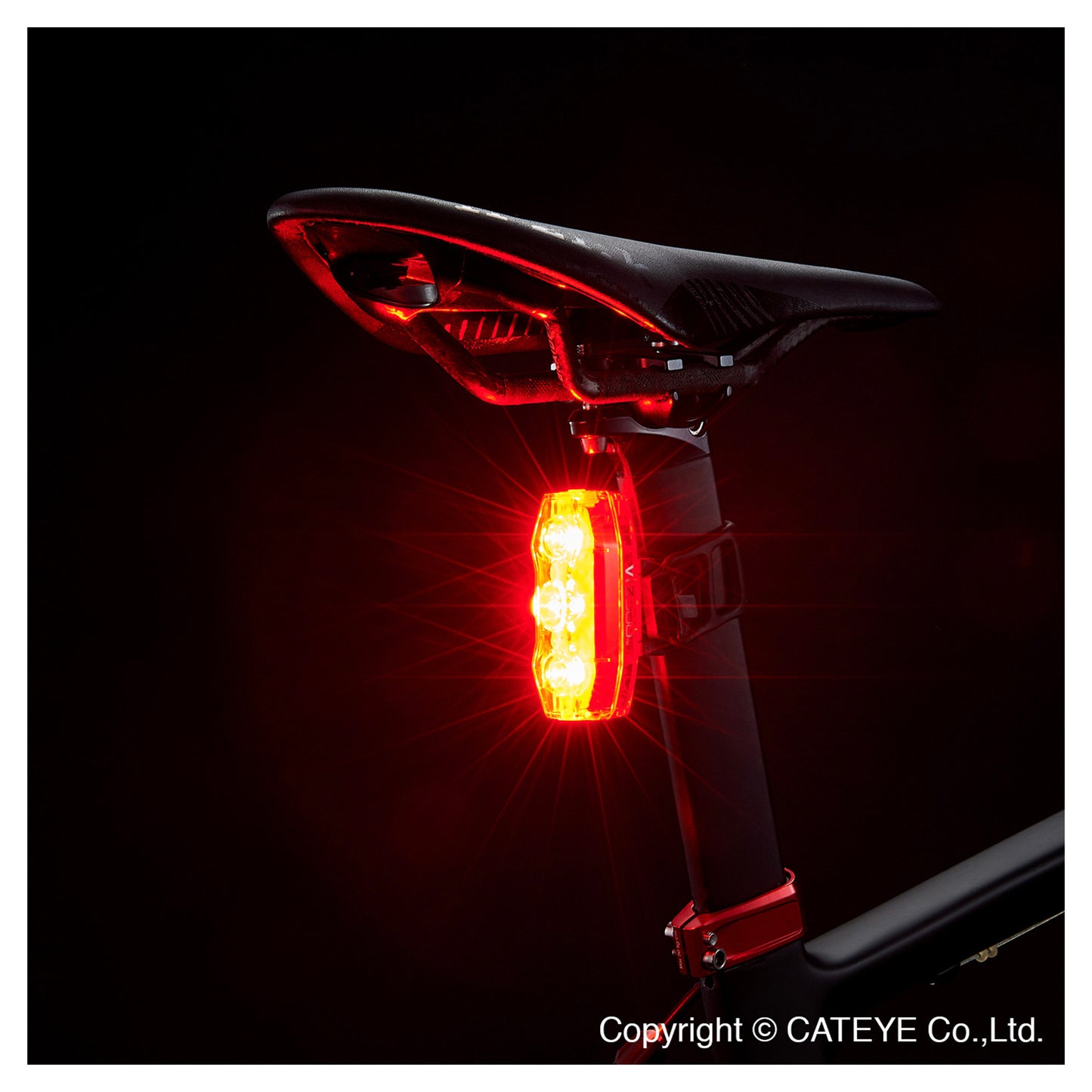 Viz 300 Rear Light